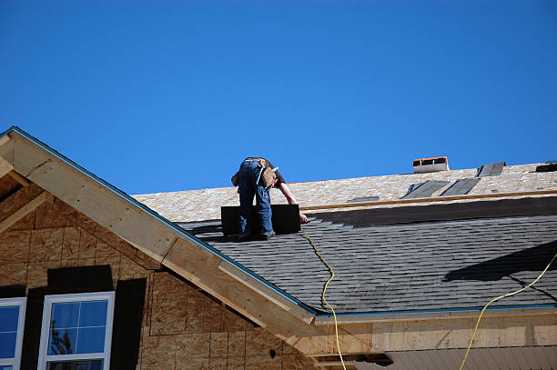 Best Roof Maintenance and Cleaning  in Linden, MI