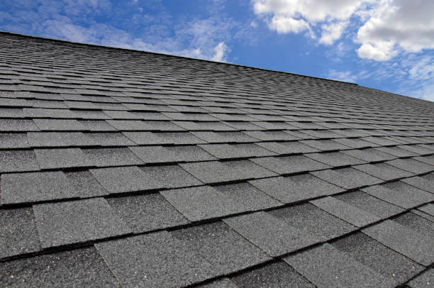Best Skylight Installation and Repair  in Linden, MI