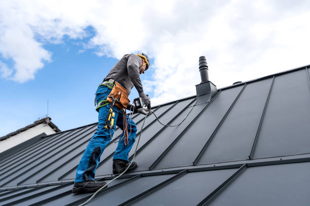 Best Roof Waterproofing  in Linden, MI